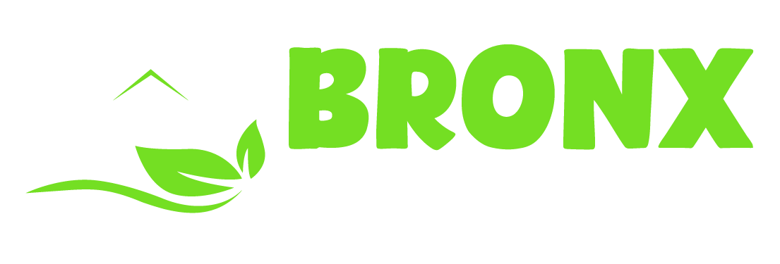 Bronx Carpet Cleaners