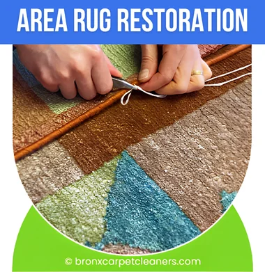 Area Rug Restoration